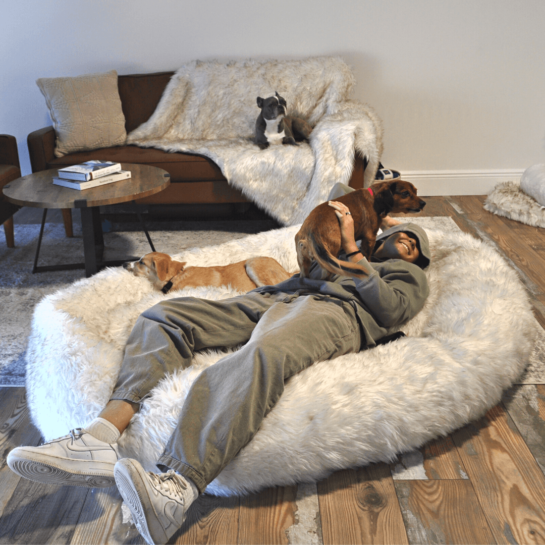 PupCloud™ Human-Size Faux Fur Memory Foam Dog Bed - White with Brown Accents Paw