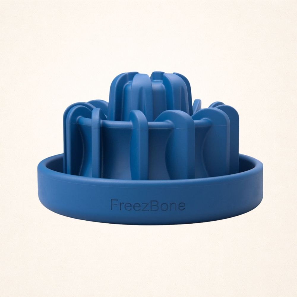 FreezLava Heavy-Duty Enrichment Chew FOR 25–90 LB DOGS Light Blue Freezbone