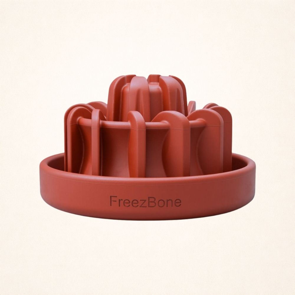FreezLava Heavy-Duty Enrichment Chew FOR 25–90 LB DOGS Coral Freezbone