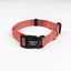 Everyday Adventure Dog Collar Natchez Orange COLLARS Alpha Pak