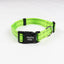 Everyday Adventure Dog Collar Kiwi Green COLLARS Alpha Pak