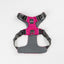Everyday Adventure Dog Harness Raspberry Pink HARNESS Alpha Pak