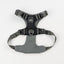 Everyday Adventure Dog Harness Black HARNESS Alpha Pak