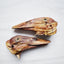 Duck Heads (ABF) Naked Beasts