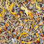 Herb Supplement For Backyard Chickens Chicken Treat Buff Clucks