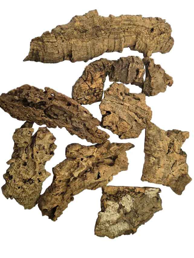 Cork Bark Micro (2-3") Shield Wall Exotics