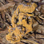 Forest Floor Leaf Litter (3 Sizes!) leaf litter Shield Wall Exotics