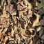 Forest Floor Leaf Litter (3 Sizes!) 1 Gallon Fig leaf litter Shield Wall Exotics