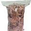 Forest Floor Leaf Litter (3 Sizes!) 1 Quart Oak leaf litter Shield Wall Exotics