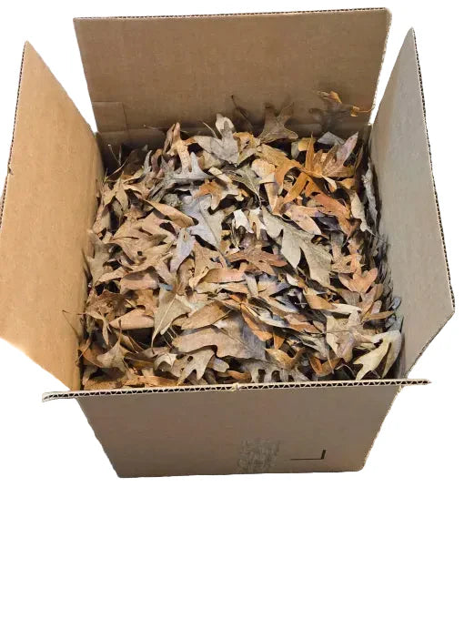 Forest Floor Leaf Litter (3 Sizes!) 12x12x12 Box Oak leaf litter Shield Wall Exotics