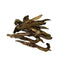 Quail Crunch Sticks Dog Treats, 10 Count Quail Spines Gourmet Dehydrated Healthy Dog Training Treats, Premium Flavors Promote Dental Health, No Artificial Additives for Happy Pets Quailz.com by Undique LLC