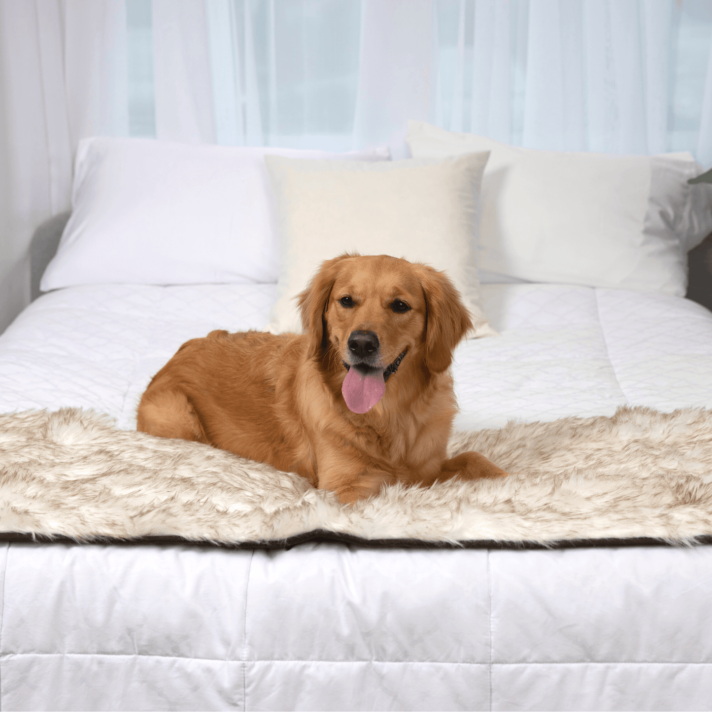 PupProtector™ Waterproof Bed Runner - White with Brown Accents Dog Blanket Paw.com