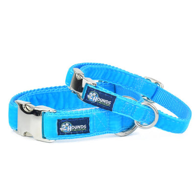 Turquoise Velvet Essential Buckle Martingale Dog Collar 2 Hounds Design