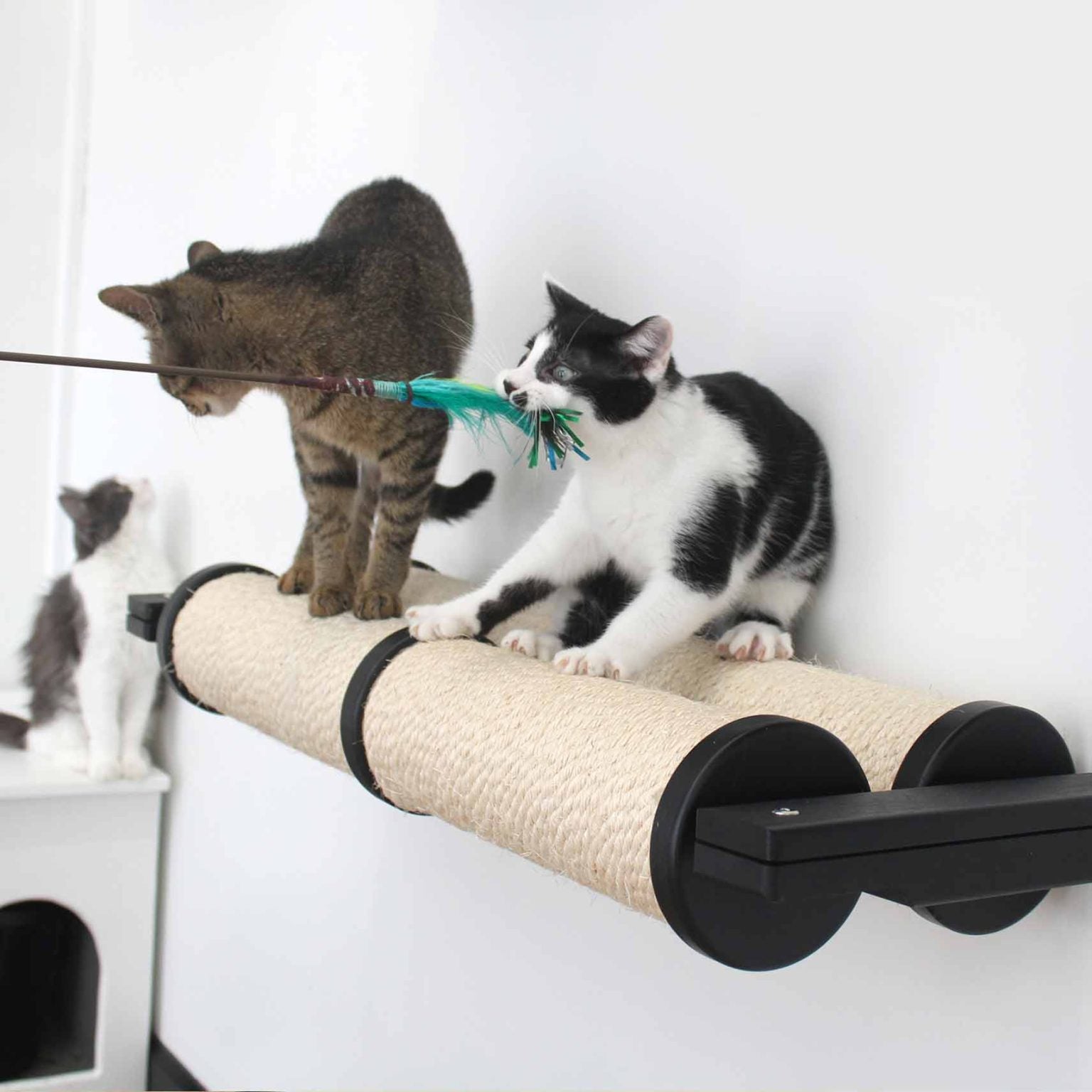 Horizontal Scratching Post for Cats Onyx Bamboo 2-Tier Double Cat Scratcher Catastrophic Creations