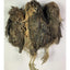 Quail Whole Pray dehydrated for Bird Dog Training or Falconry Quailz.com by Undique LLC