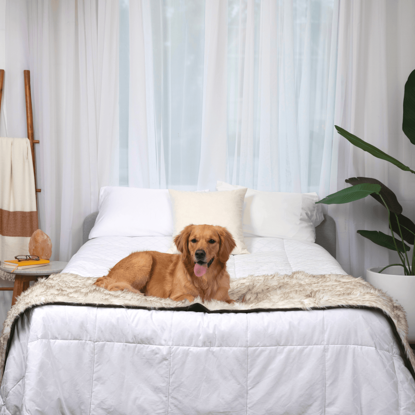 PupProtector™ Waterproof Bed Runner - White with Brown Accents Dog Blanket Paw.com