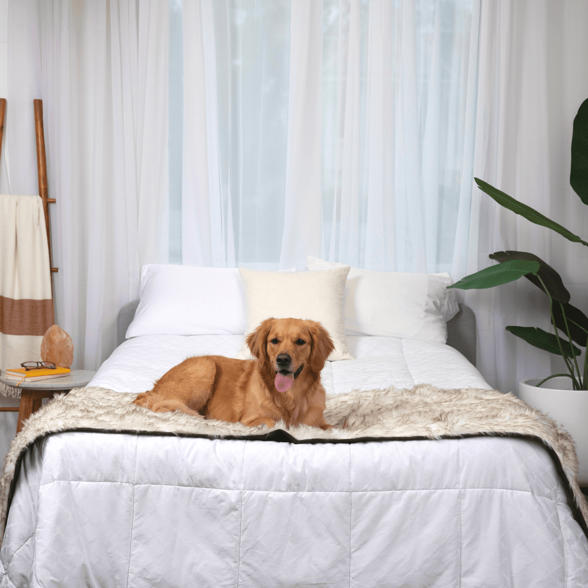 PupProtector™ Waterproof Bed Runner - White with Brown Accents Dog Blanket Paw.com