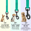 Biothane Waterproof Dog Leash, 4 ft Dog Leashes Dogline