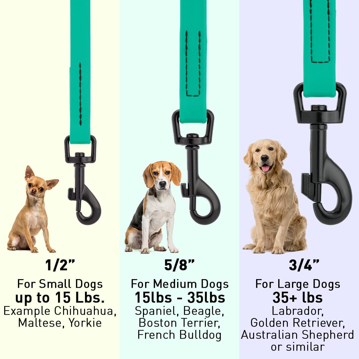 Biothane Waterproof Dog Leash, 4 ft Dog Leashes Dogline