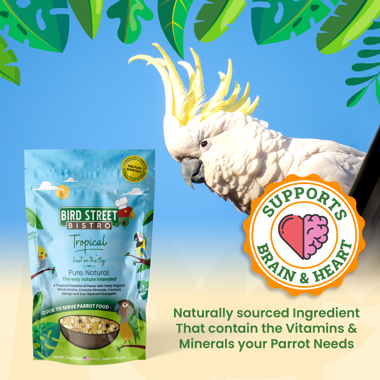 Parrot Food Super-Pack Bird Food Bird Street Bistro