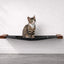Hanging Cat Bed Hammock English Chestnut Bamboo Charcoal Gray Canvas 26" Cat Hammock Catastrophic Creations