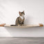 Hanging Cat Bed Hammock Natural Bamboo Natural Canvas 26" Cat Hammock Catastrophic Creations