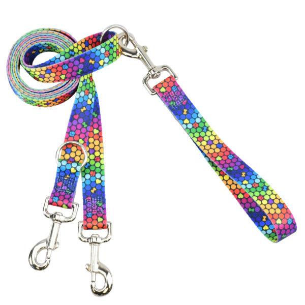 ROY G BIV Double Connection Leash – EarthStyle Euro Leash (longer version) 2 Hounds Design