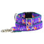 1″ Nocturnal – Fox and Mushroom Ribbon Dog Leash 2 Hounds Design