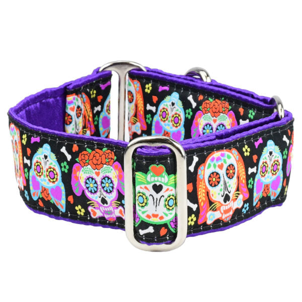 XOLO – Sugar Skull Buckle Martingale Dog Collar 2 Hounds Design