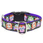 1″ XOLO – Sugar Skull Essential Martingale Dog Collar 2 Hounds Design