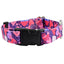 Wild Hearts Dog Collar – EarthStyle 1 inch 2 Hounds Design