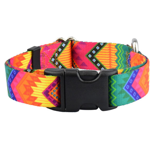 BFF (Best Friends Forever) Dog Collar – EarthStyle 1 inch 2 Hounds Design