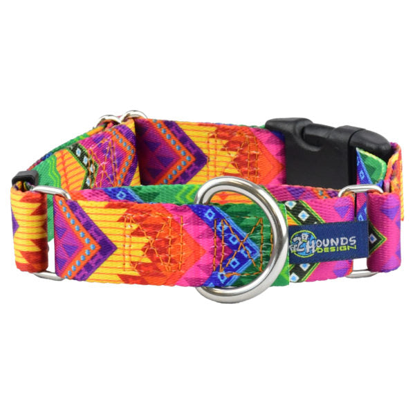 BFF (Best Friends Forever) Buckle Martingale Dog Collar – EarthStyle 1 inch 2 Hounds Design