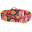 Classic Tie-Dye Martingale Dog Collar – EarthStyle 1 inch 2 Hounds Design
