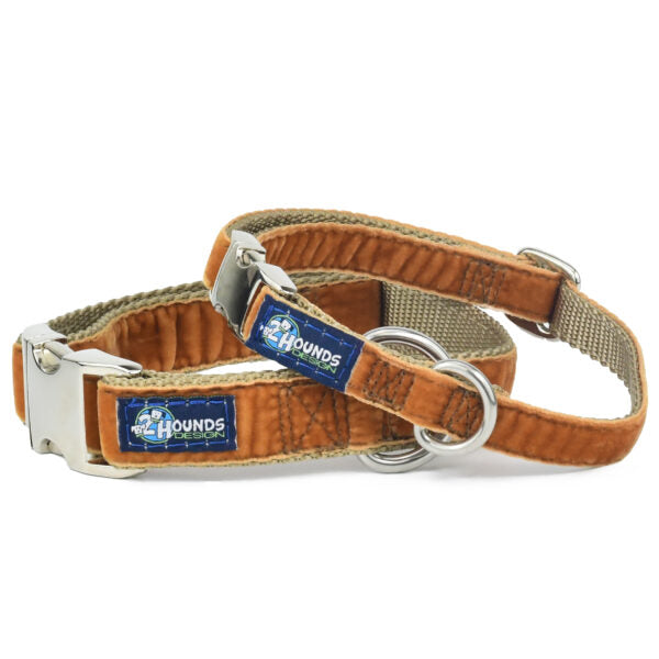 Antique Gold Velvet Essential Buckle Martingale Dog Collar 2 Hounds Design