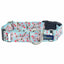 Cherry Blossoms Buckle Martingale Dog Collar – EarthStyle 1 inch 2 Hounds Design