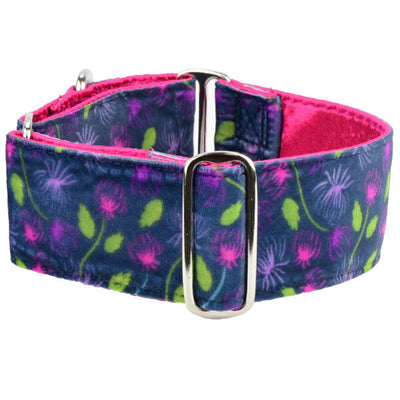 Midnight Dahlia Elite Velvet Martingale Dog Collar 2 inch wide 2 Hounds Design