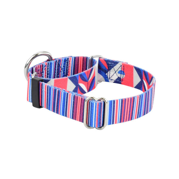 Rocky Martingale Dog Collar – EarthStyle 2 Hounds Design