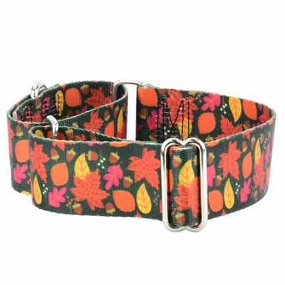 Falling Leaves Martingale Dog Collar – EarthStyle 1.5 inch 2 Hounds Design