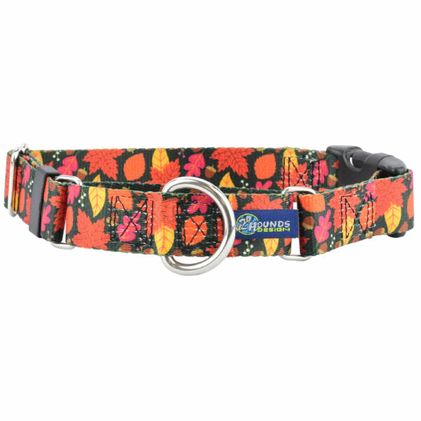 Falling Leaves Buckle Martingale Dog Collar – EarthStyle 1 inch 2 Hounds Design