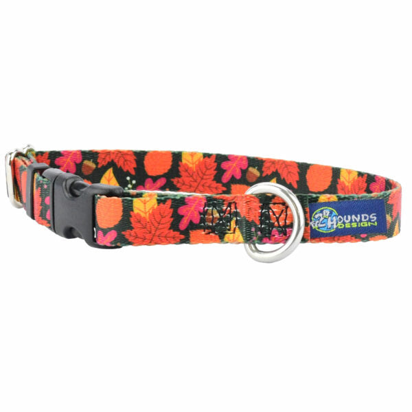 Falling Leaves Dog Collar – EarthStyle 5 8 inch 2 Hounds Design