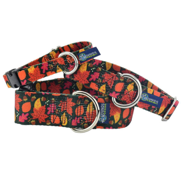 Falling Leaves Dog Collar – EarthStyle 2 Hounds Design
