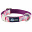 Pink Tie-Dye Velvet Essential Dog Collar 5 8 inch wide 2 Hounds Design