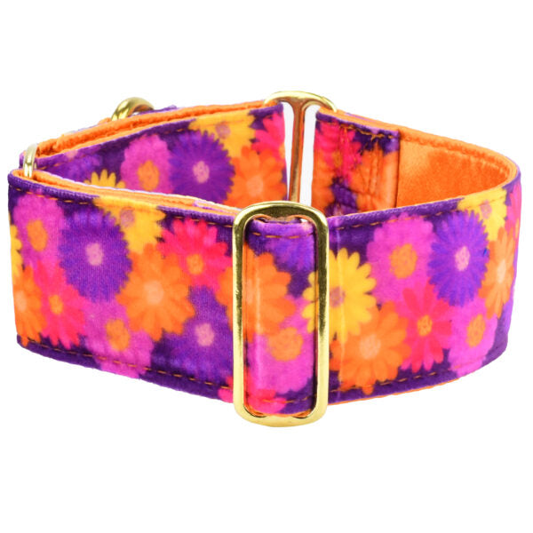 Gerbera Daisy Elite Velvet Buckle Martingale Dog Collar 2 Hounds Design