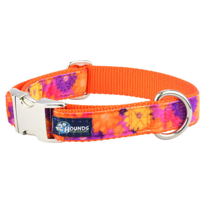 Gerbera Daisy Velvet Essential Martingale Dog Collar (1″ Only) 2 Hounds Design