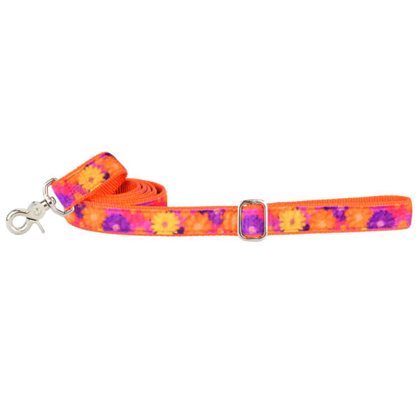 Gerbera Daisy Velvet Dog Leash (1″ Only) 2 Hounds Design