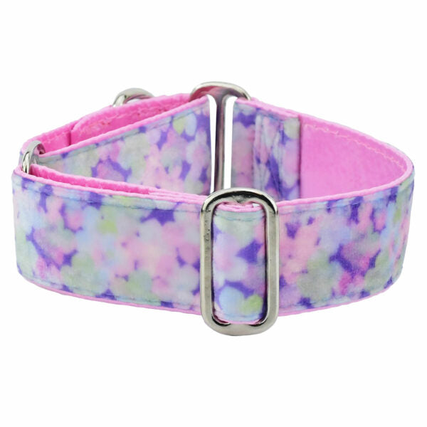 Hydrangea Elite Velvet Buckle Martingale Dog Collar 2 Hounds Design