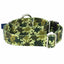 Archie Loves Mud Martingale Dog Collar – EarthStyle 1 inch 2 Hounds Design