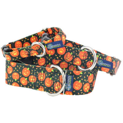 Jack O Lantern Buckle Martingale Dog Collar – EarthStyle 2 Hounds Design