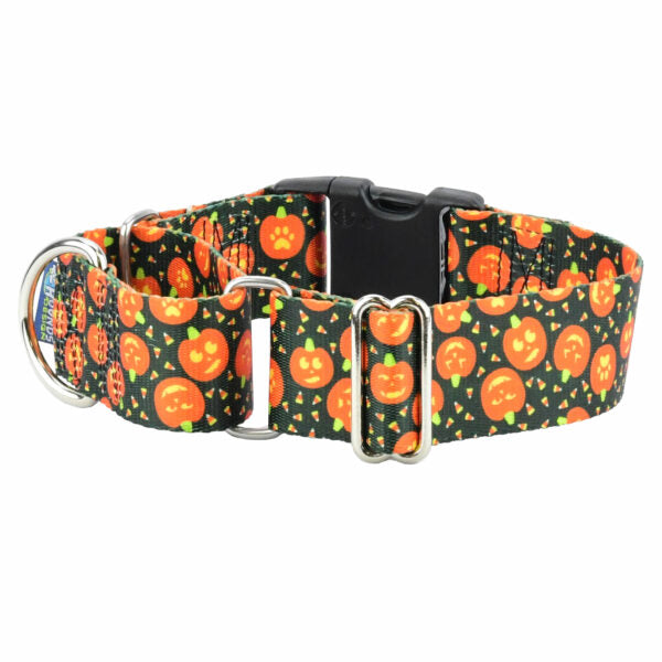 Jack O Lantern Buckle Martingale Dog Collar – EarthStyle 1.5 inch 2 Hounds Design